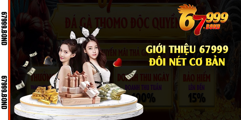 Giới thiệu 67999 đôi nét cơ bản 